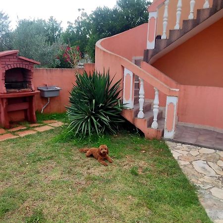 Apartament Waimarie Fažana Zewnętrze zdjęcie