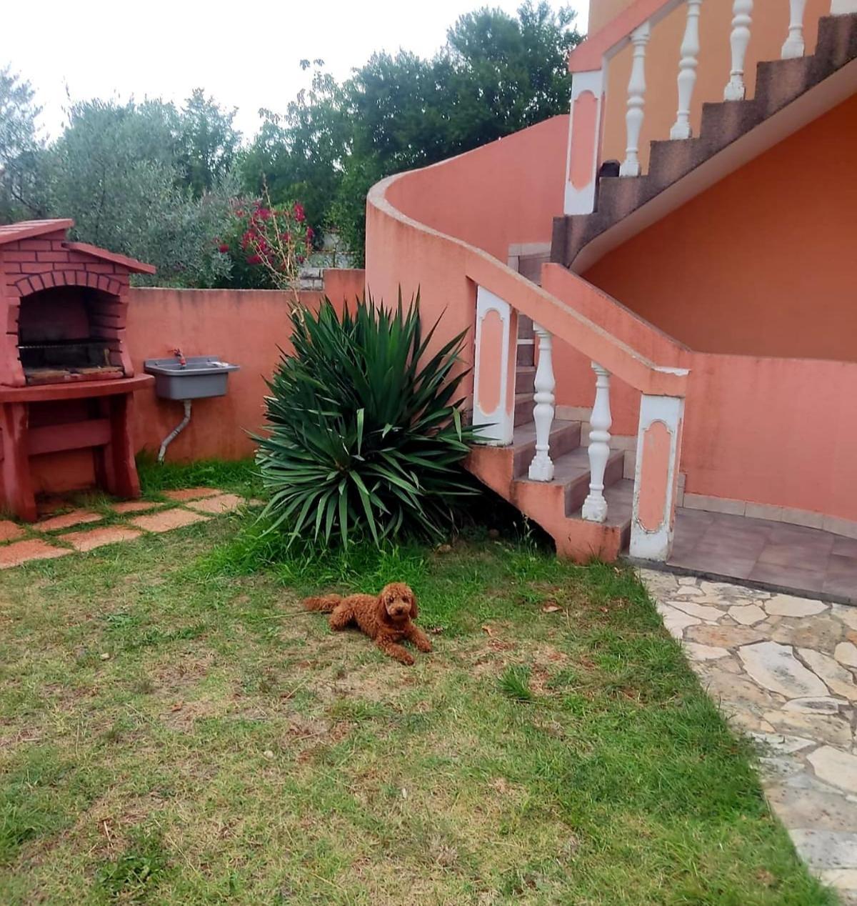 Apartament Waimarie Fažana Zewnętrze zdjęcie